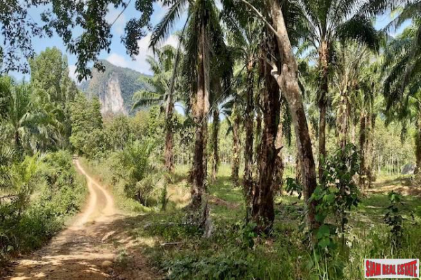 Rubber Plantation on over 6 Rai of Land for Sale in Krabi-1