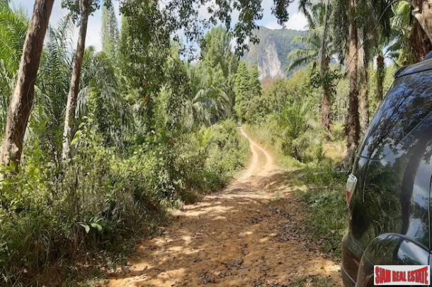 Rubber Plantation on over 6 Rai of Land for Sale in Krabi-3