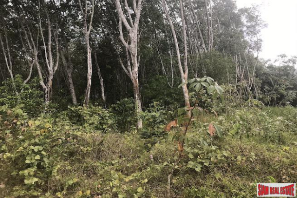 Rubber Plantation on over 6 Rai of Land for Sale in Krabi-7