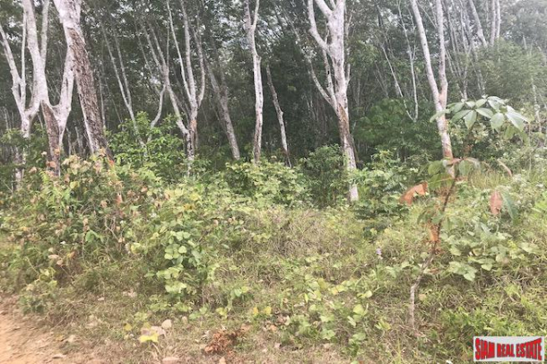 Rubber Plantation on over 6 Rai of Land for Sale in Krabi-8
