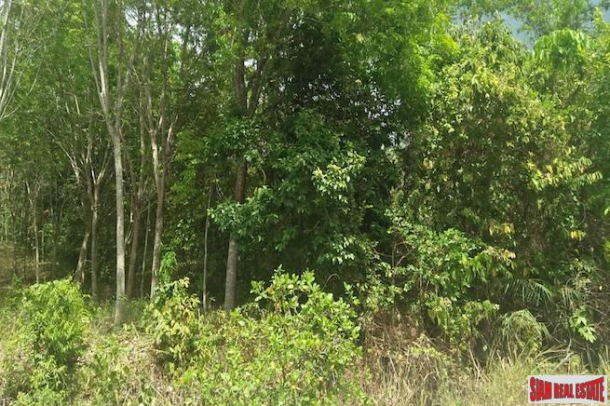 Lush Land Plot for Sale on Hillside with Mountain Views in Nong Thaley, Krabi-2