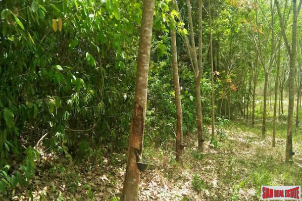 Lush Land Plot for Sale on Hillside with Mountain Views in Nong Thaley, Krabi-3