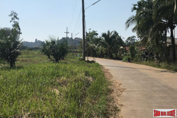 Large Flat Land Plot for Sale in Phang Nga, Only 5 Minutes from the Phuket Sarasin Bridge-6