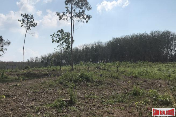 Ten Rai Land Plot for Sale  in Phang Nga Near the Sarasin Bridge-5