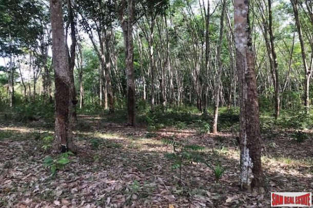 Large Flat 20+ Rai Land Plot  with Nice Mountain View for Sale in Nong Thaley, Krabi-4
