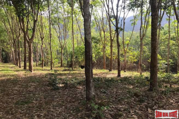 Large Flat 20+ Rai Land Plot  with Nice Mountain View for Sale in Nong Thaley, Krabi-5