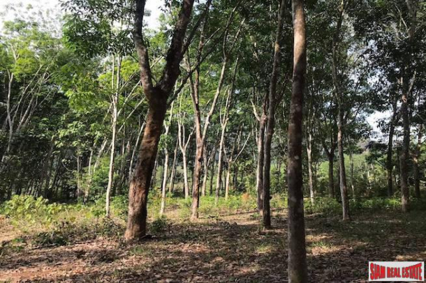 Large Flat 20+ Rai Land Plot  with Nice Mountain View for Sale in Nong Thaley, Krabi-6