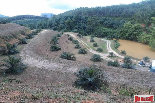 North Facing 30 Rai Land Plot for Sale in Phang Nga - Great Price and Good Investment-1
