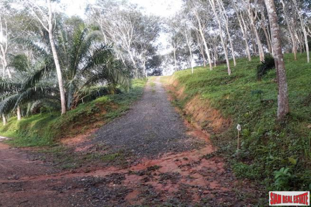 North Facing 30 Rai Land Plot for Sale in Phang Nga - Great Price and Good Investment-12