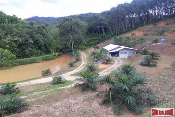 North Facing 30 Rai Land Plot for Sale in Phang Nga - Great Price and Good Investment-2