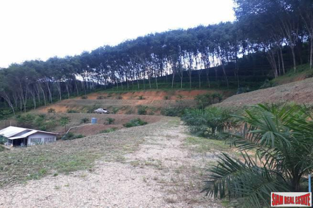 North Facing 30 Rai Land Plot for Sale in Phang Nga - Great Price and Good Investment-3