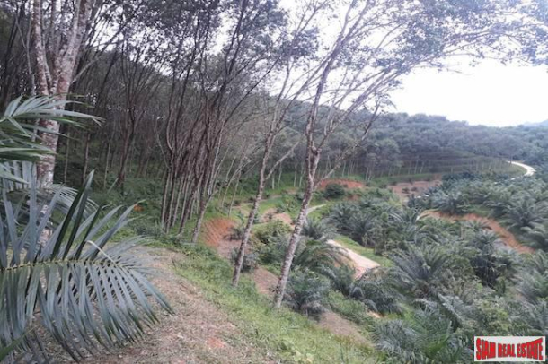 North Facing 30 Rai Land Plot for Sale in Phang Nga - Great Price and Good Investment-4