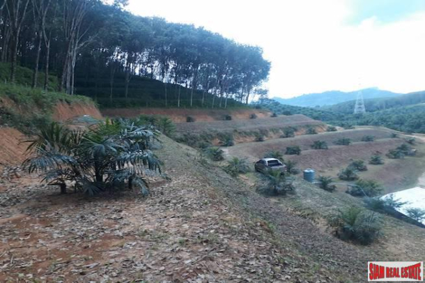North Facing 30 Rai Land Plot for Sale in Phang Nga - Great Price and Good Investment-5