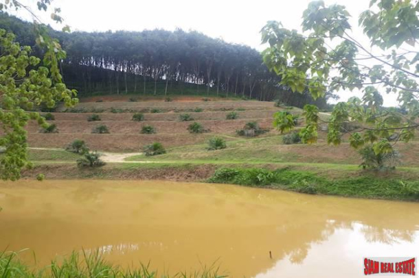 North Facing 30 Rai Land Plot for Sale in Phang Nga - Great Price and Good Investment-7