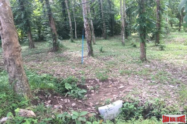 Three Rai of Sub-Divided Land for Sale in Koh Maprao - Excellent Investment Potential with Finance terms-6