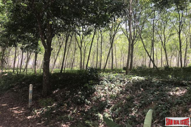 North Facing Flat Land Plot for Sale in Takua Thang, Phang Nga-2