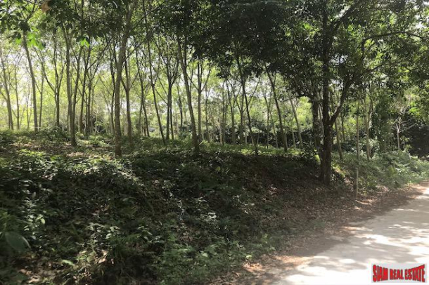 North Facing Flat Land Plot for Sale in Takua Thang, Phang Nga-6