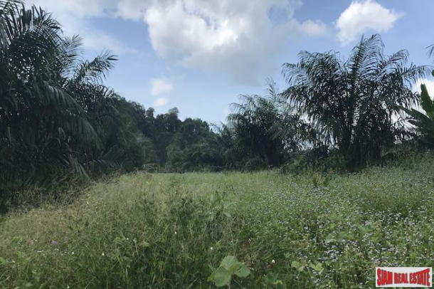 Flat 9 Rai Land Plot for Sale in the Nong Thaley Area of Krabi-2