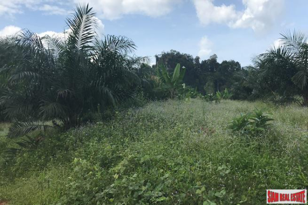 Flat 9 Rai Land Plot for Sale in the Nong Thaley Area of Krabi-5