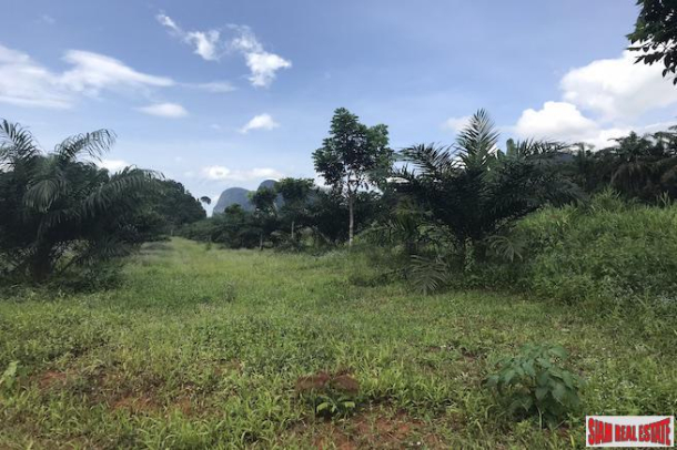 Flat 9 Rai Land Plot for Sale in the Nong Thaley Area of Krabi-6