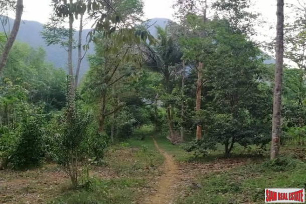 Nice West Facing Land Plot with Many Fruit Trees and Road Access in Nong Thaley-1