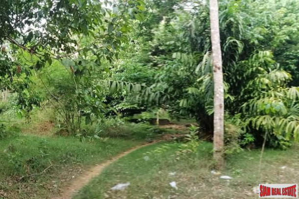 Nice West Facing Land Plot with Many Fruit Trees and Road Access in Nong Thaley-2