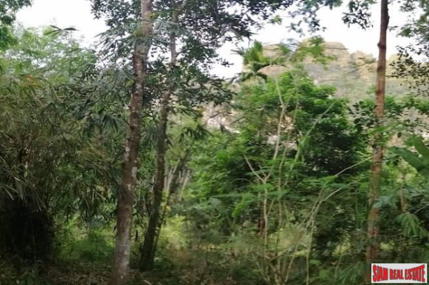 Nice West Facing Land Plot with Many Fruit Trees and Road Access in Nong Thaley-3