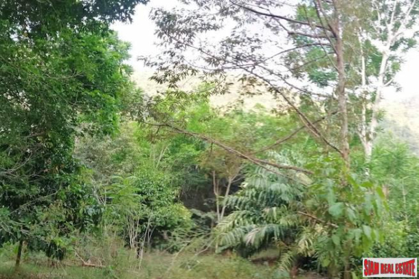 Nice West Facing Land Plot with Many Fruit Trees and Road Access in Nong Thaley-4