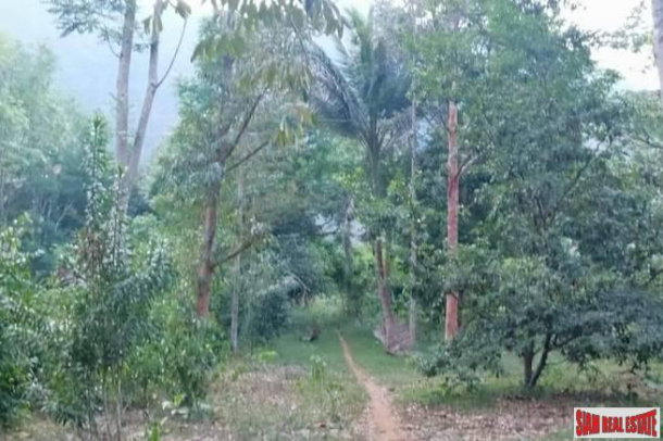 Nice West Facing Land Plot with Many Fruit Trees and Road Access in Nong Thaley-6