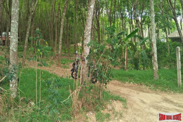 Over 27 Rai of Land Available for Sale in Cherng Talay - Great Business Opportunity-3