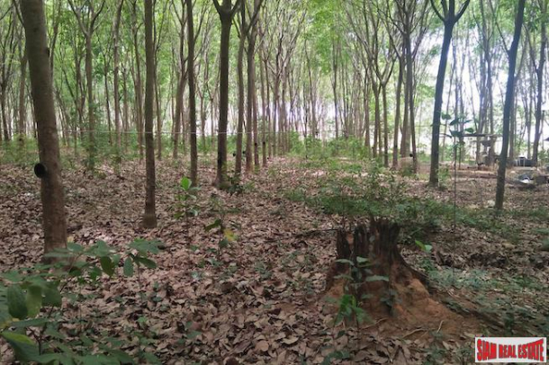 Over 27 Rai of Land Available for Sale in Cherng Talay - Great Business Opportunity-6
