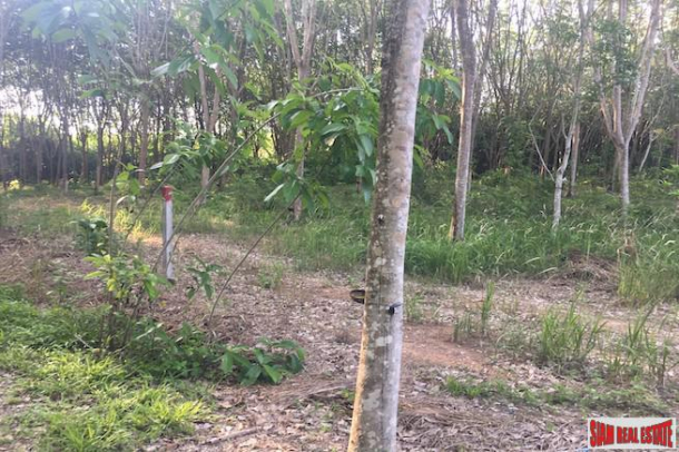 One Rai Land with a Rubber Plantation for Sale Close to Amenities in Sai Thai, Krabi-2
