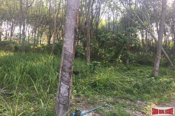One Rai Land with a Rubber Plantation for Sale Close to Amenities in Sai Thai, Krabi-3