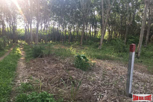 One Rai Land with a Rubber Plantation for Sale Close to Amenities in Sai Thai, Krabi-4