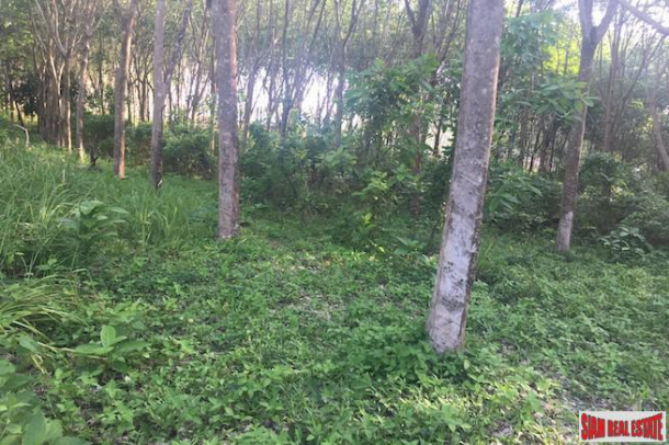 One Rai Land with a Rubber Plantation for Sale Close to Amenities in Sai Thai, Krabi-5