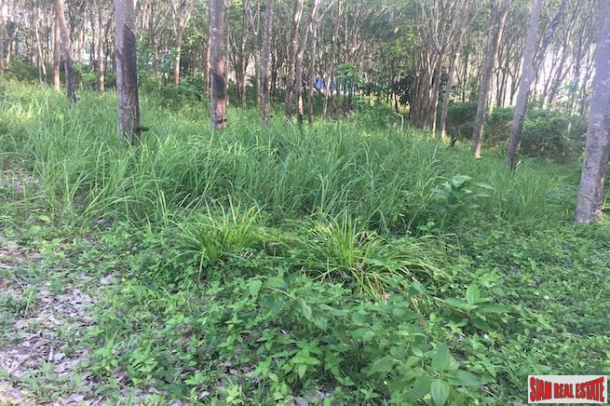 One Rai Land with a Rubber Plantation for Sale Close to Amenities in Sai Thai, Krabi-6
