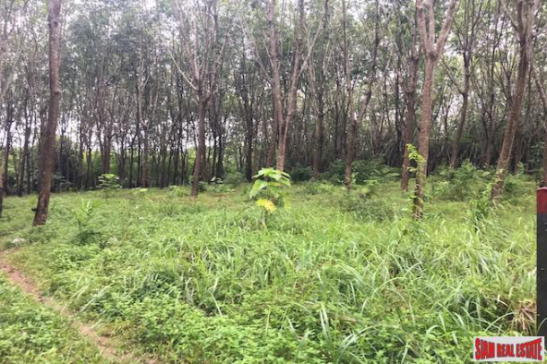 One Rai Land with a Rubber Plantation for Sale Close to Amenities in Sai Thai, Krabi-7