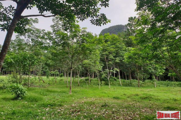 Beautiful Mountains Surround this 2 Rai Land Plot for Sale in Ao Nang, Krabi-6
