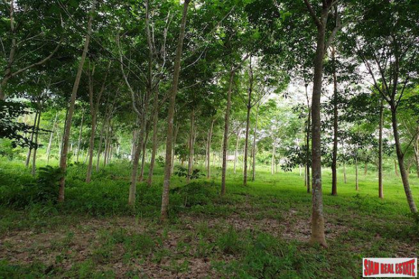 Over 16,000 sqm of Land for Sale in Nong Thaley, Krabi-7