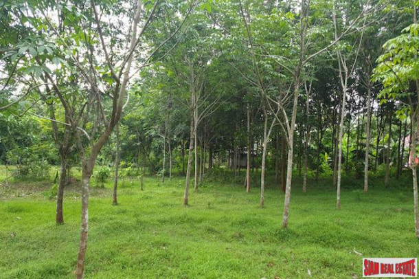 Over 16,000 sqm of Land for Sale in Nong Thaley, Krabi-8