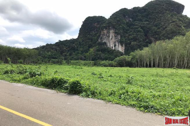 Over 16,000 sqm of Land for Sale in Nong Thaley, Krabi-3