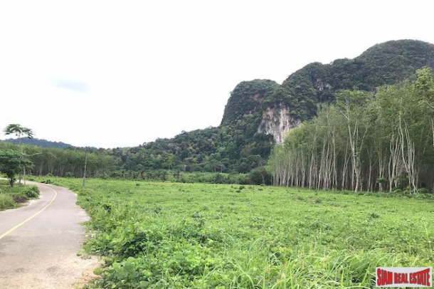 Over 16,000 sqm of Land for Sale in Nong Thaley, Krabi-4