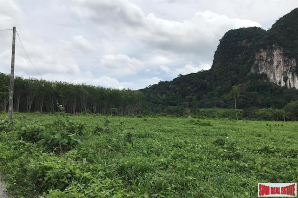 Over 16,000 sqm of Land for Sale in Nong Thaley, Krabi-5
