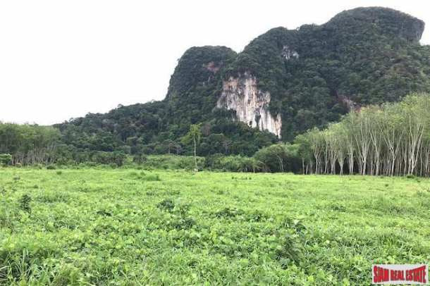 Over 16,000 sqm of Land for Sale in Nong Thaley, Krabi-6