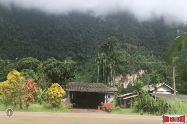 Large Land Plot Over 3 Rai with Mountain Views and Fruit Trees for Sale in Krabi-2