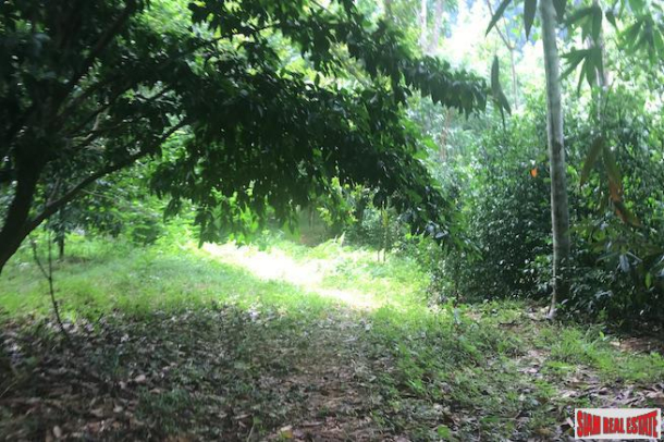 Large Land Plot Over 3 Rai with Mountain Views and Fruit Trees for Sale in Krabi-4