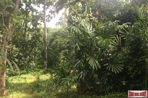 Large Land Plot Over 3 Rai with Mountain Views and Fruit Trees for Sale in Krabi-5
