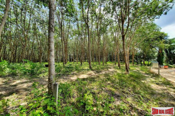 Over Four Rai of Land for Sale in Developing Area of Nong Thaley-1
