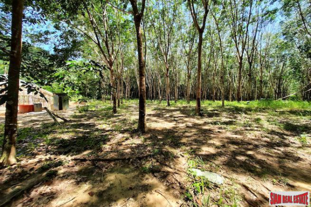 Over Four Rai of Land for Sale in Developing Area of Nong Thaley-2