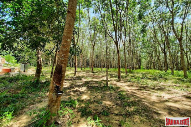 Over Four Rai of Land for Sale in Developing Area of Nong Thaley-4